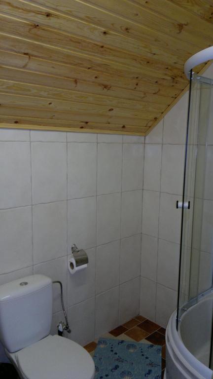 ホテルPanska Hata Nyzhnya Khortytsya 部屋 写真