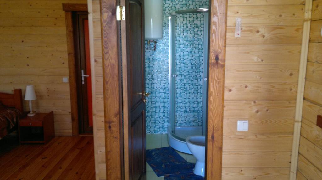 ホテルPanska Hata Nyzhnya Khortytsya 部屋 写真
