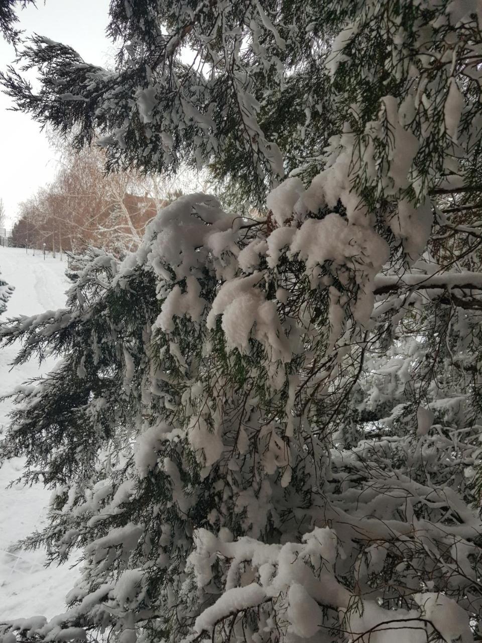 ホテルPanska Hata Nyzhnya Khortytsya エクステリア 写真